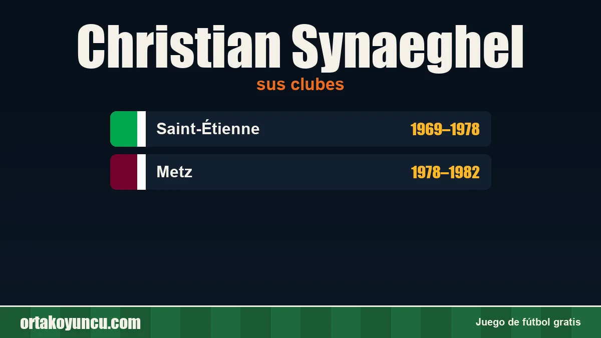 Christian Synaeghel: clubes y años