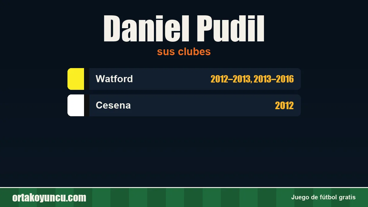 Daniel Pudil: clubes y años