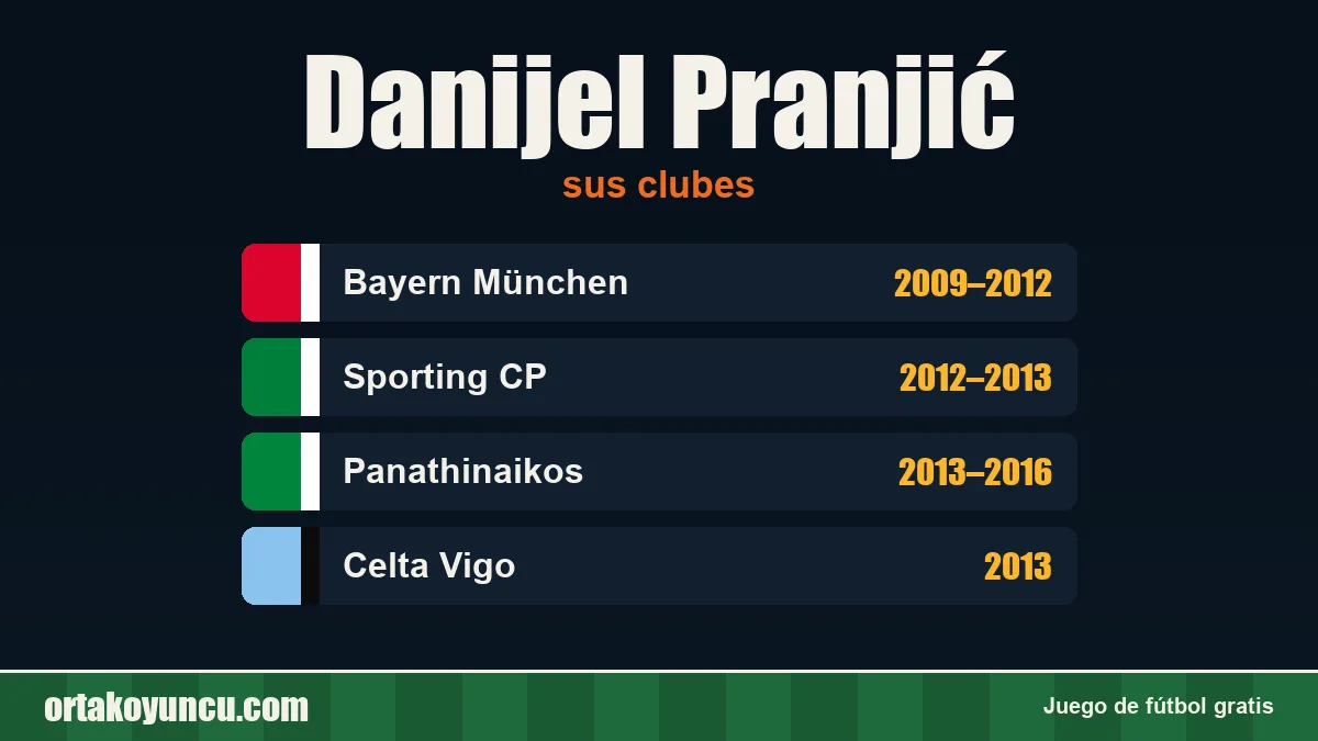 Danijel Pranjić: clubes y años
