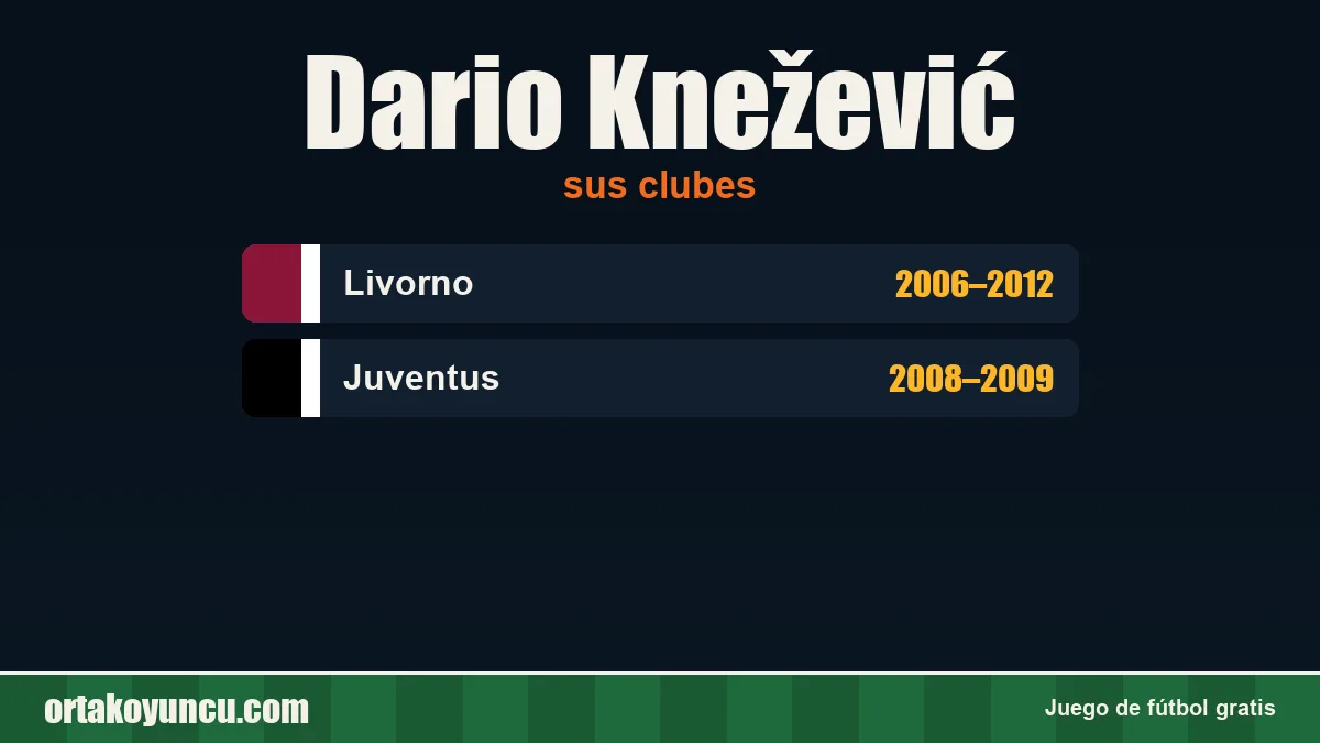 Dario Knežević: clubes y años