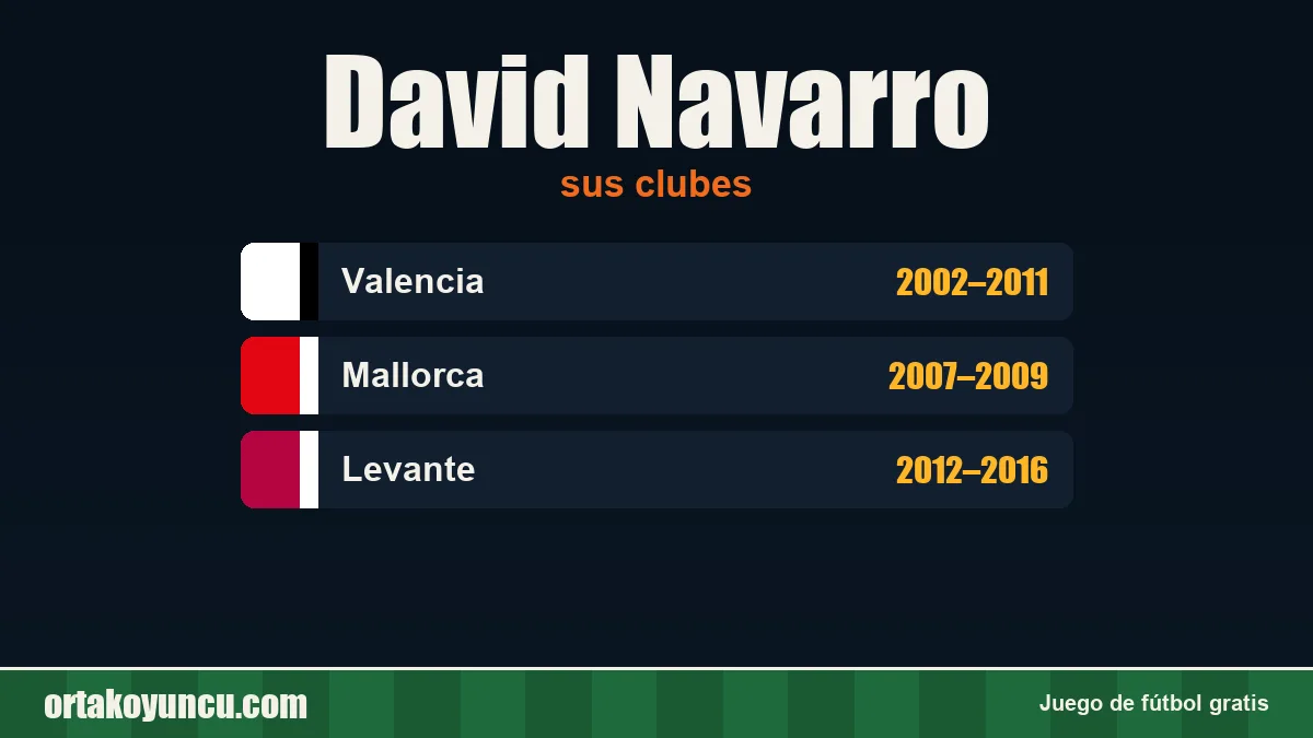 David Navarro: clubes y años