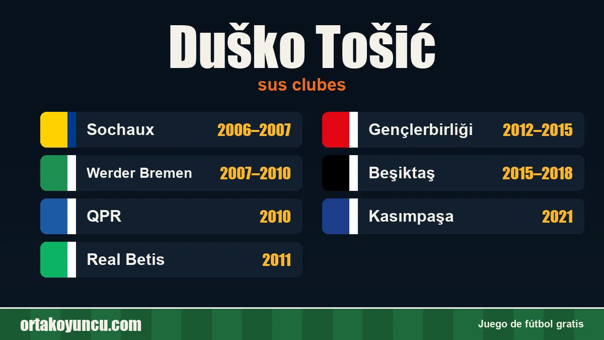 Duško Tošić: clubes y años