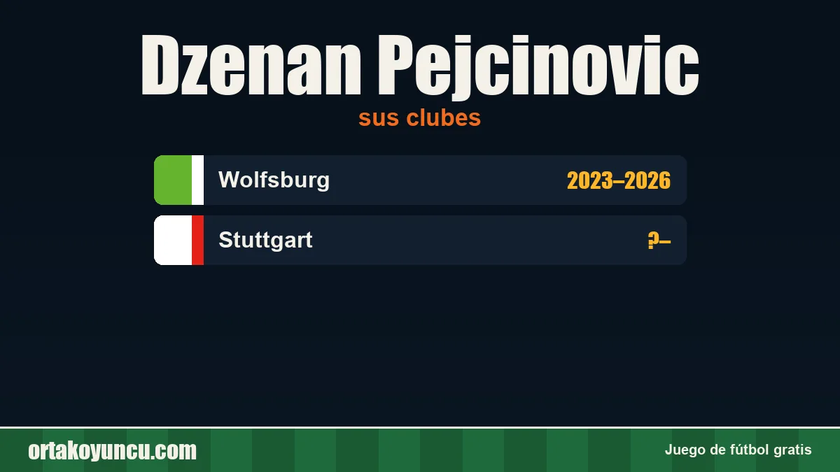 Dzenan Pejcinovic: clubes y años