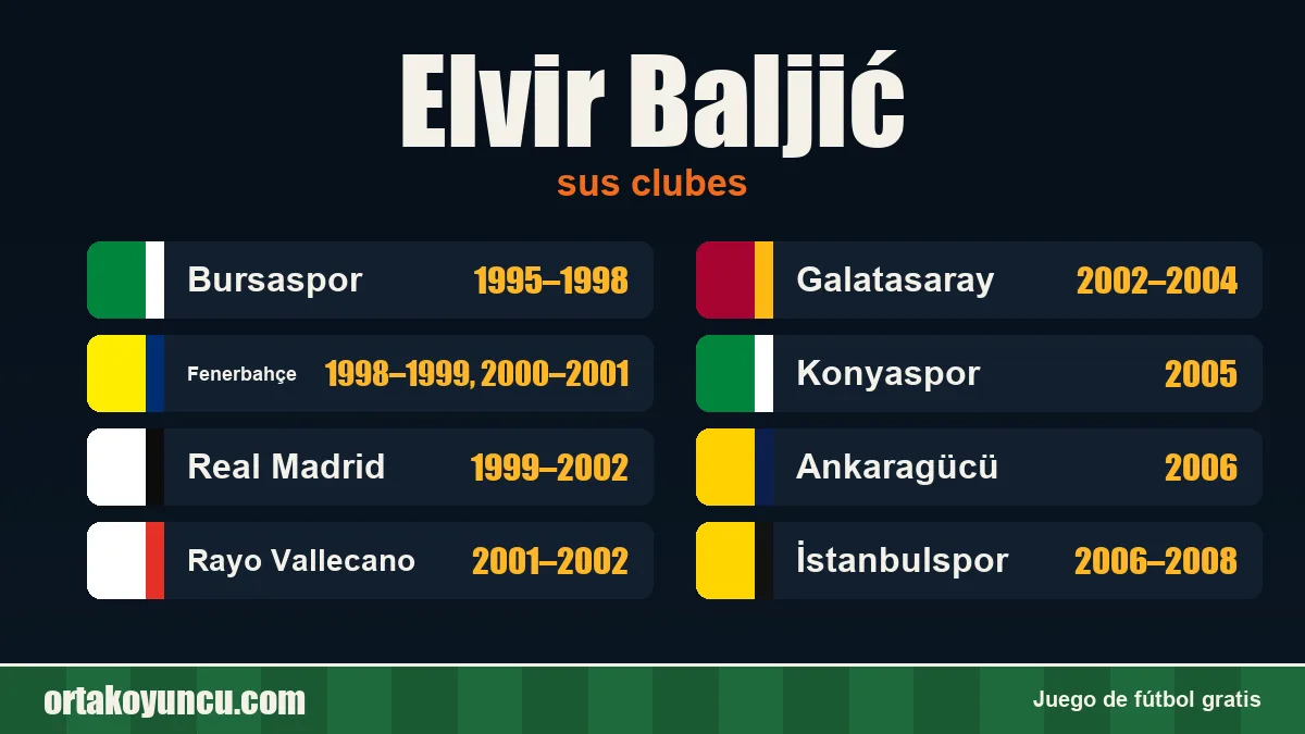 Elvir Baljić: clubes y años