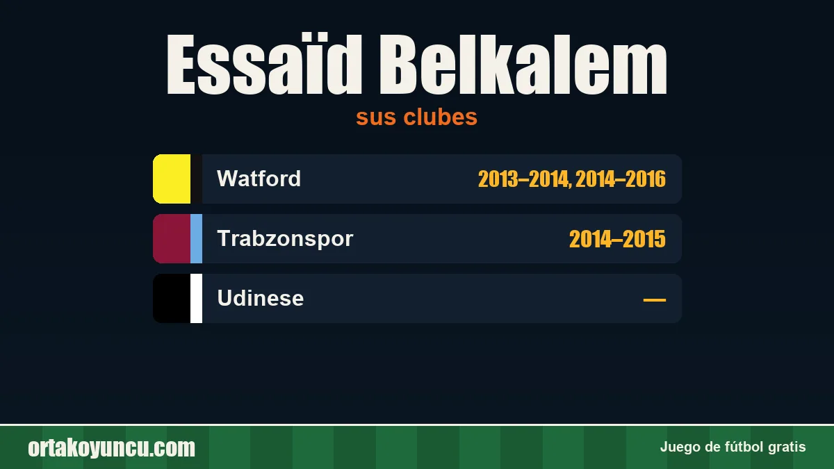Essaïd Belkalem: clubes y años