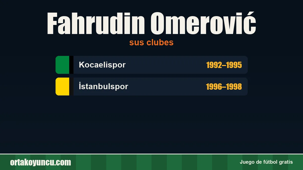 Fahrudin Omerović: clubes y años