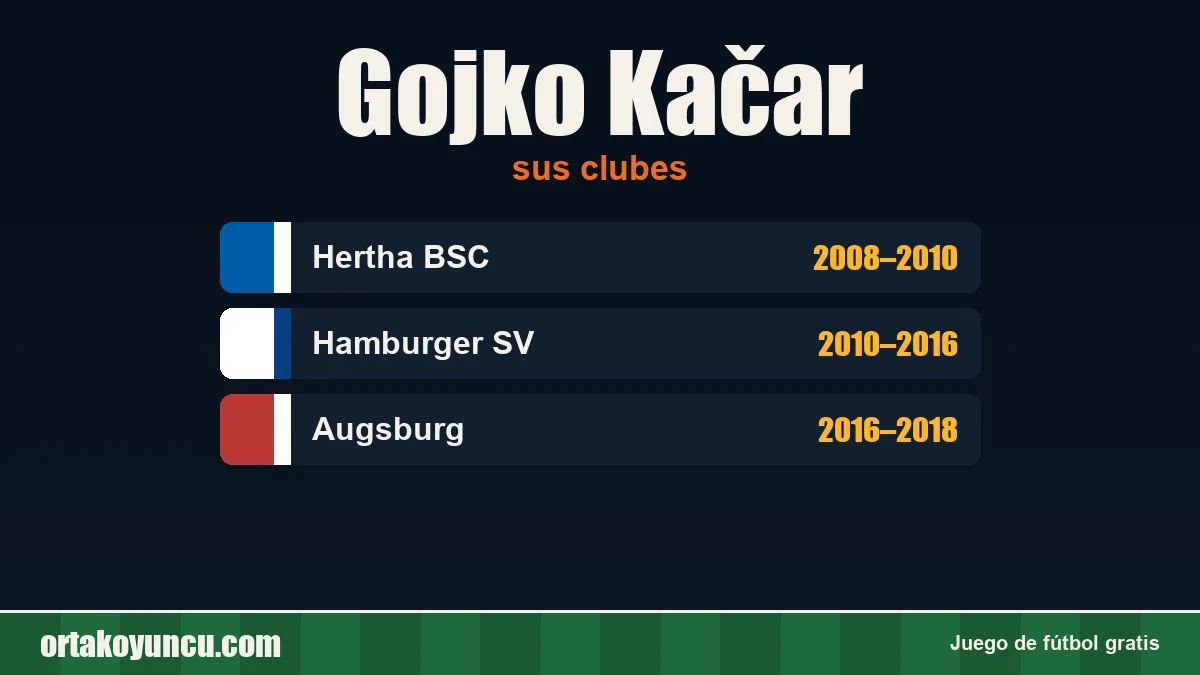 Gojko Kačar: clubes y años
