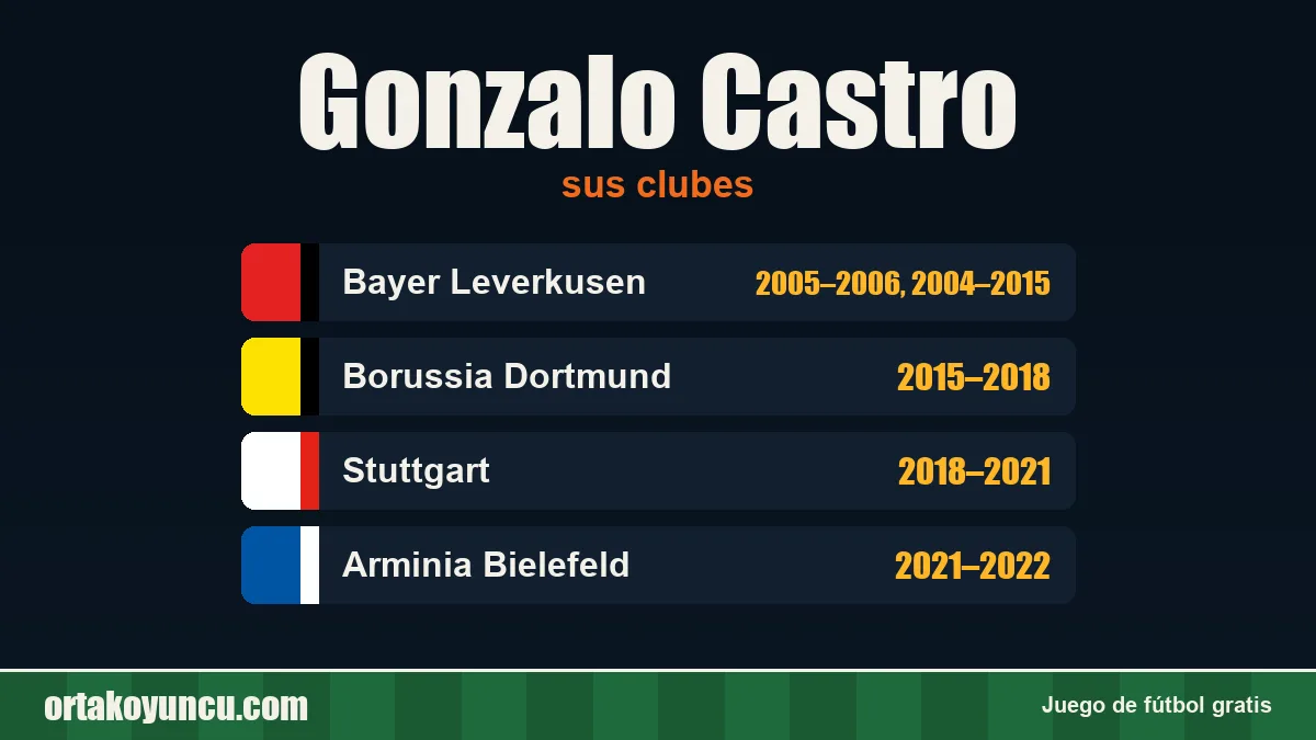 Gonzalo Castro: clubes y años