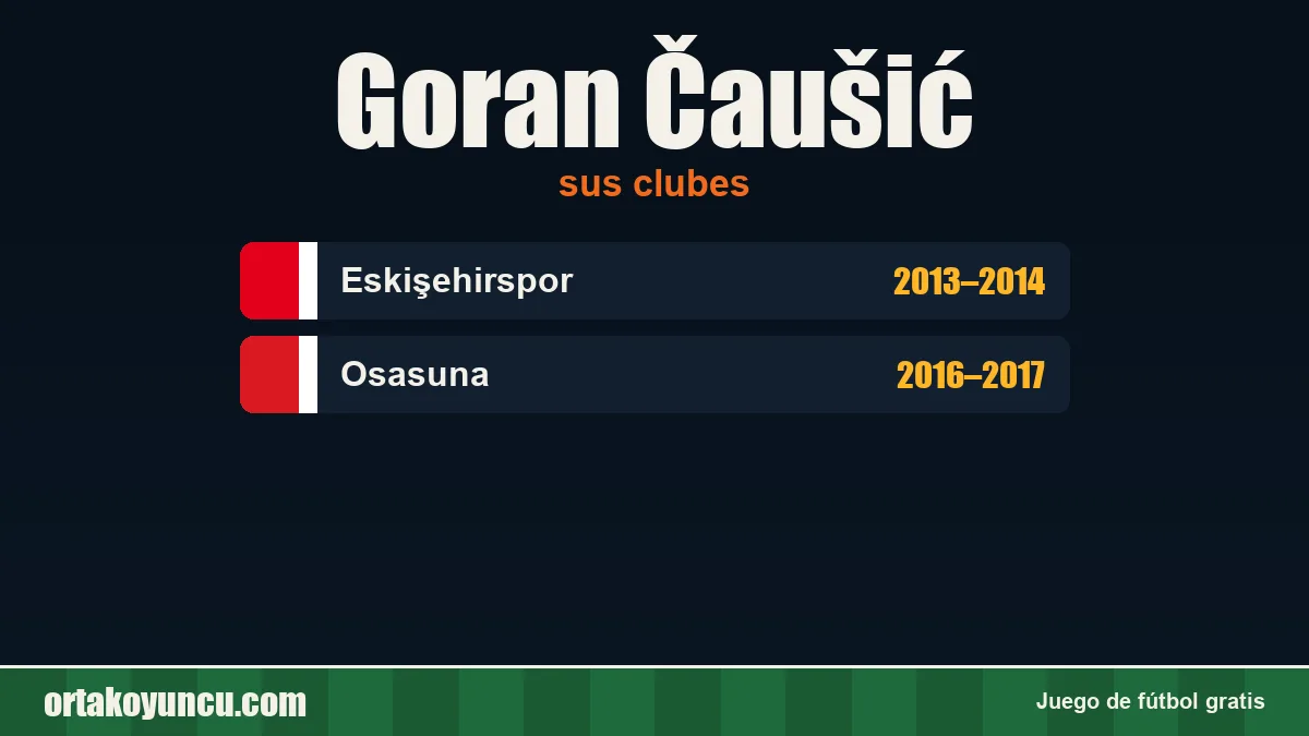 Goran Čaušić: clubes y años