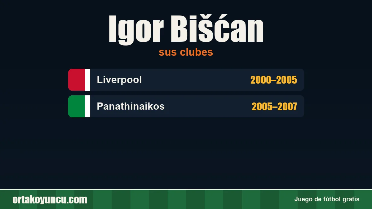 Igor Bišćan: clubes y años
