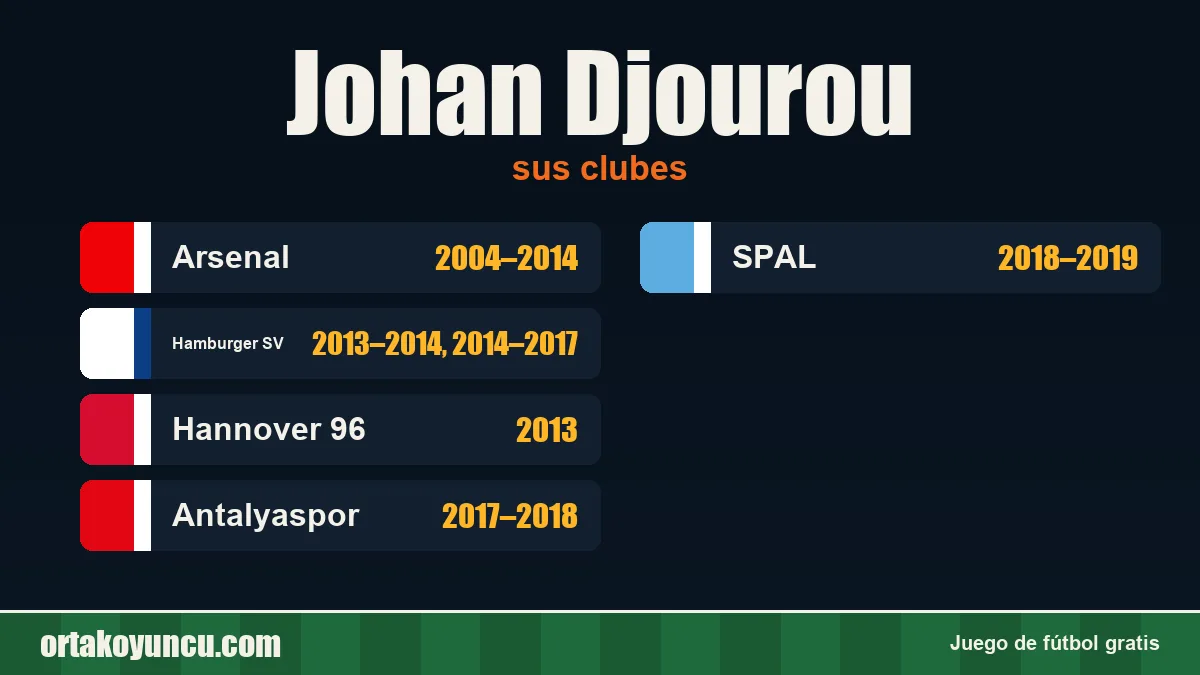 Johan Djourou: clubes y años