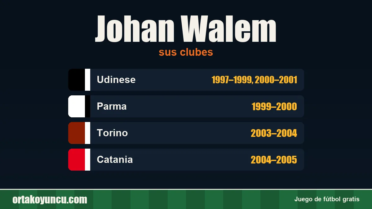 Johan Walem: clubes y años