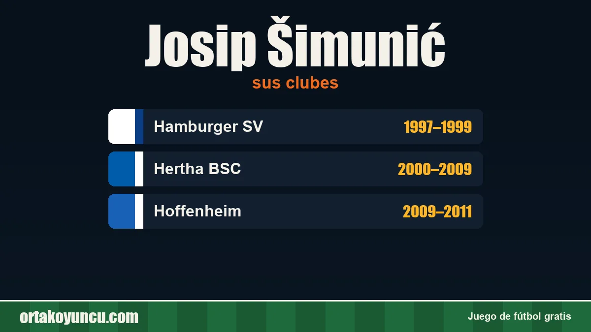 Josip Šimunić: clubes y años