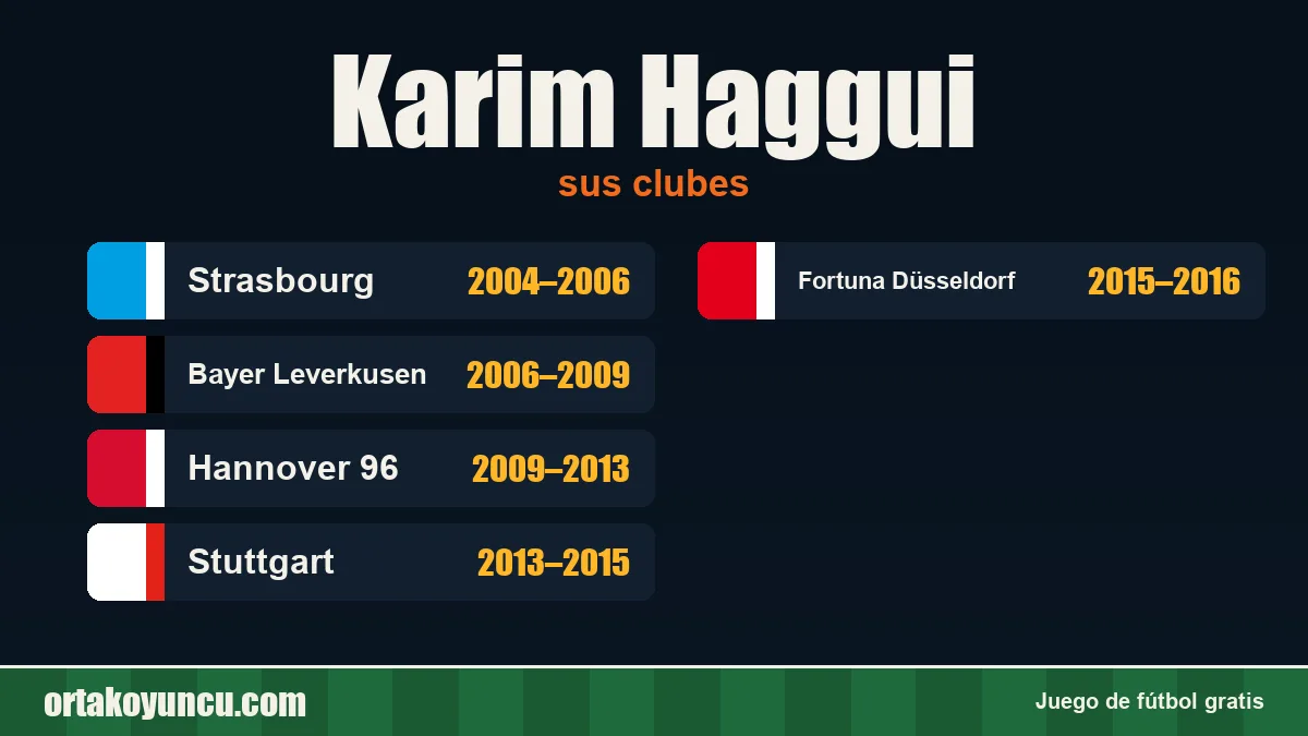 Karim Haggui: clubes y años