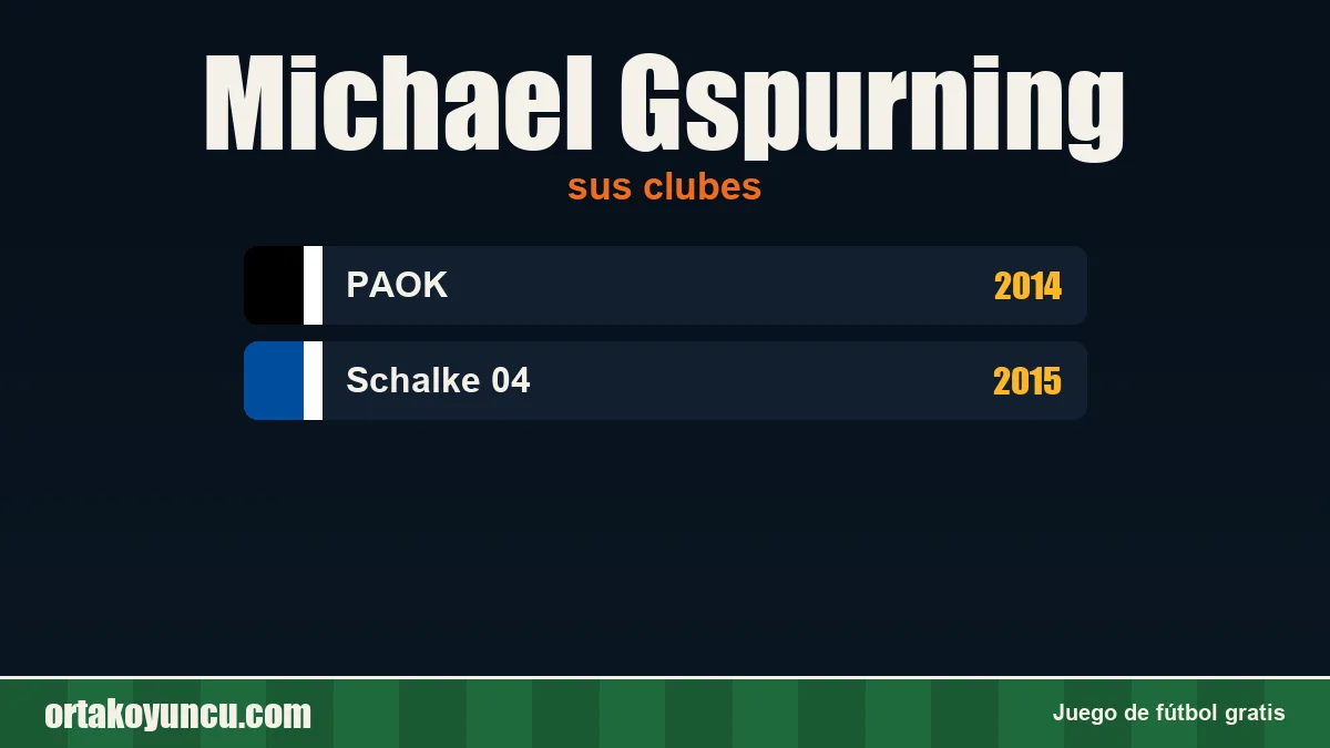 Michael Gspurning: clubes y años