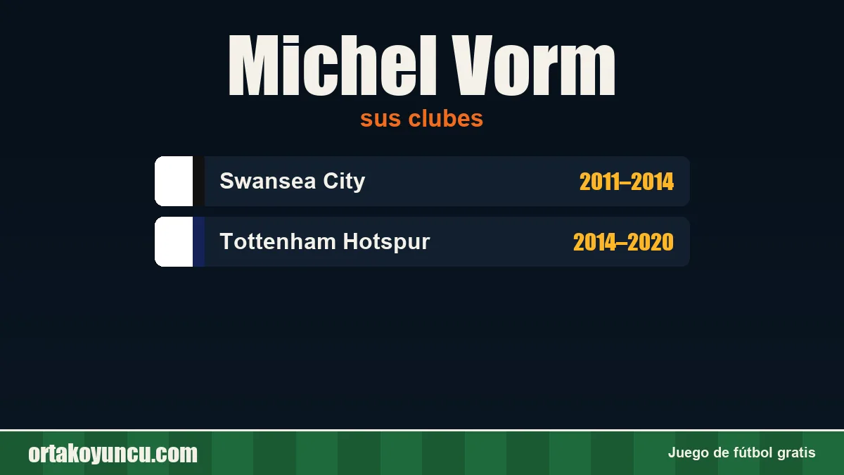 Michel Vorm: clubes y años