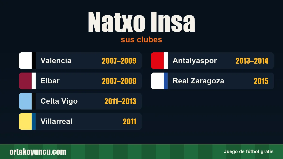 Natxo Insa: clubes y años