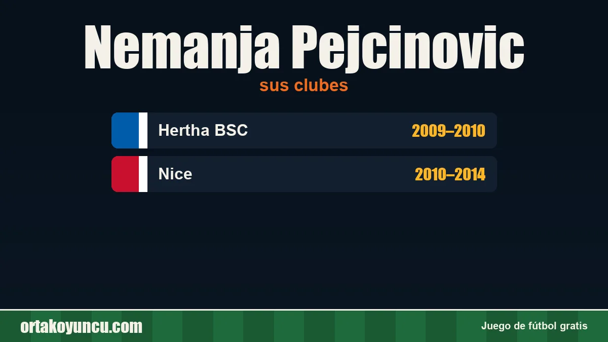 Nemanja Pejcinovic: clubes y años