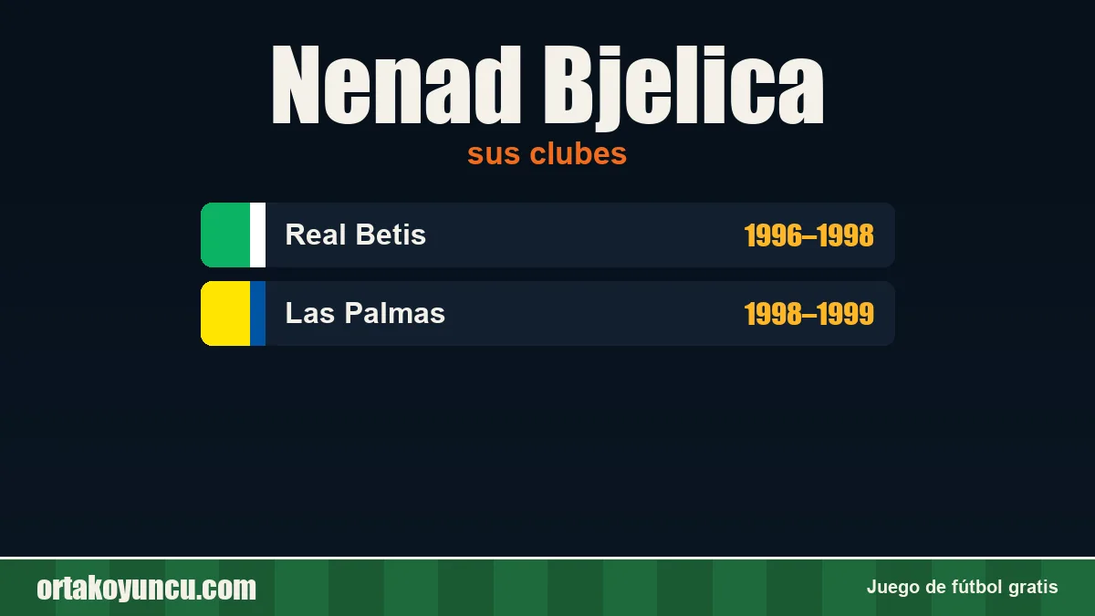 Nenad Bjelica: clubes y años