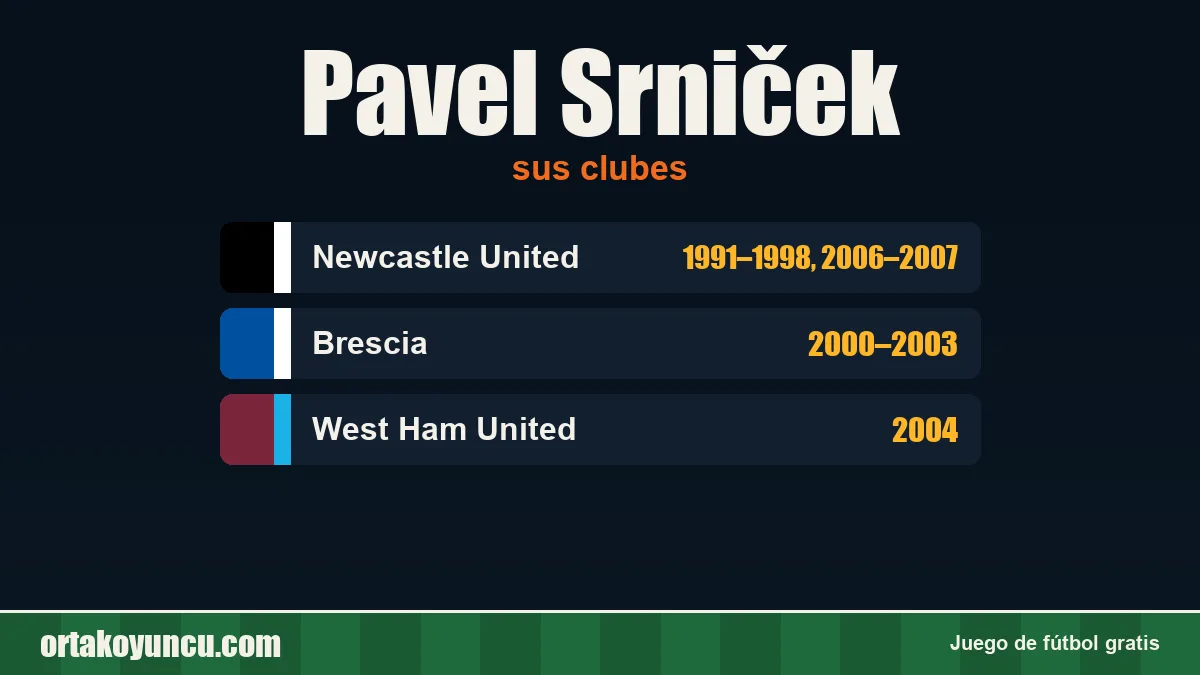 Pavel Srniček: clubes y años