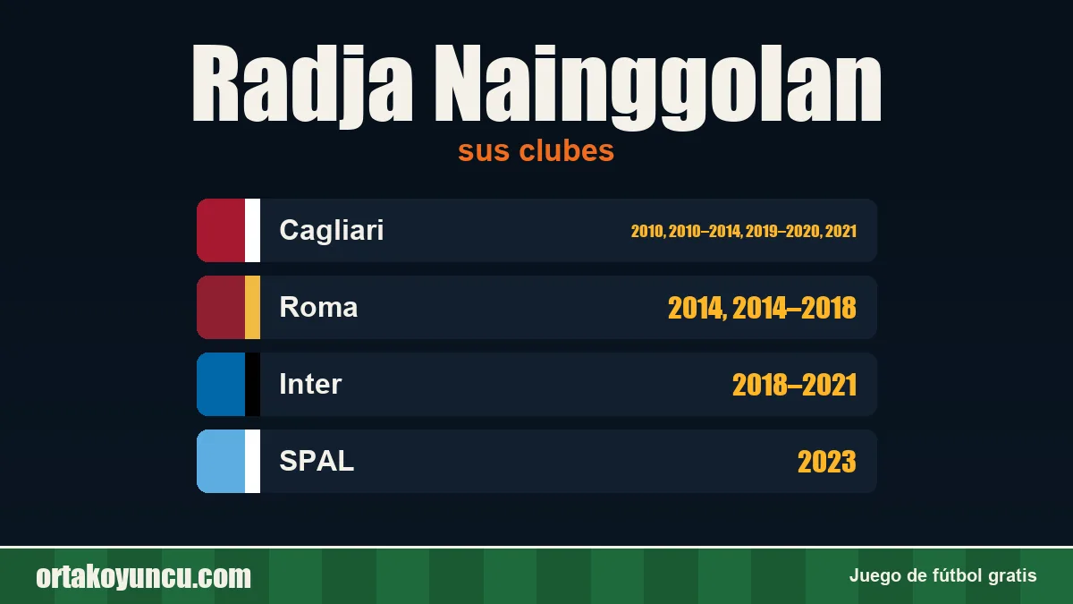 Radja Nainggolan: clubes y años
