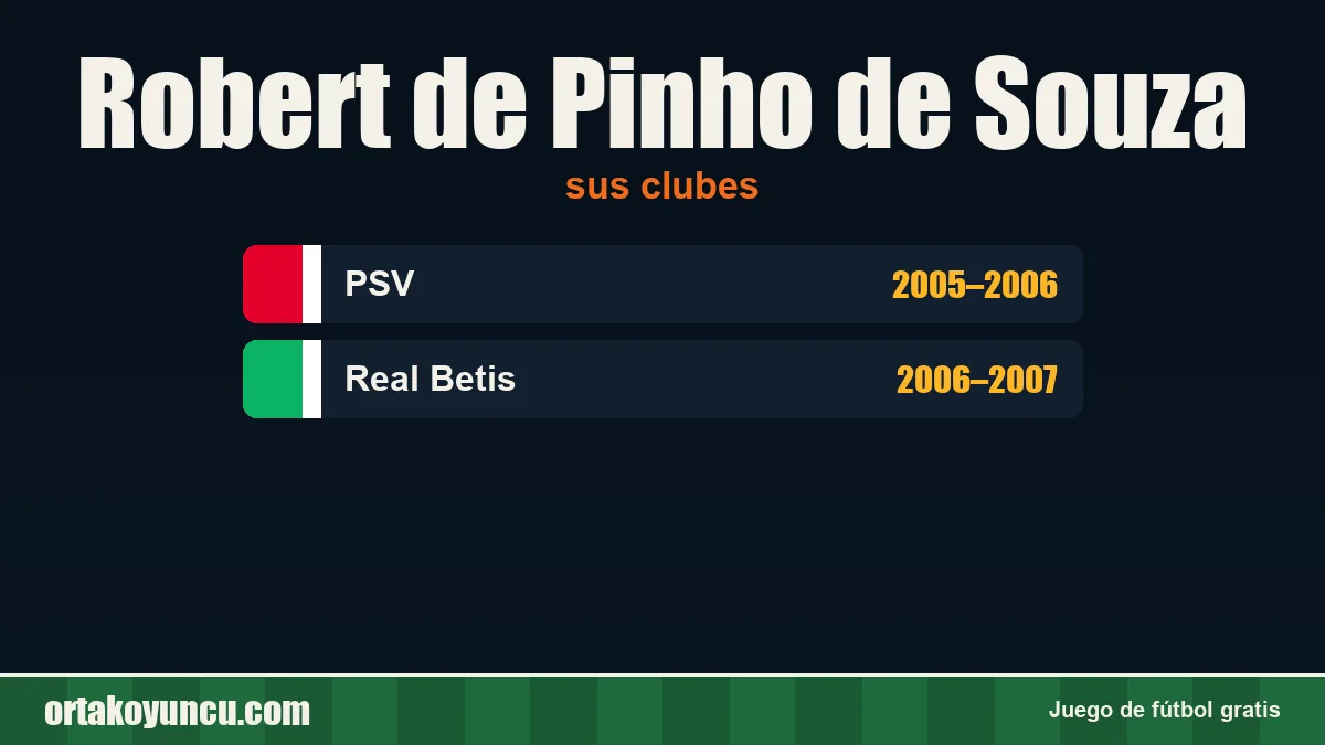 Robert de Pinho de Souza: clubes y años