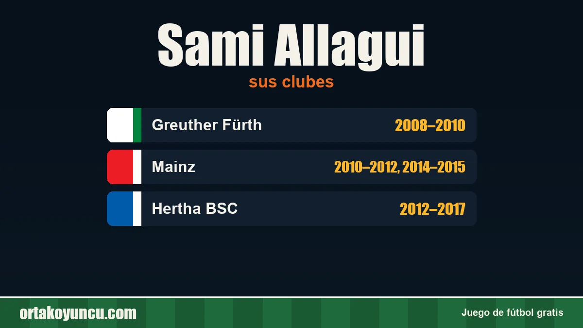 Sami Allagui: clubes y años