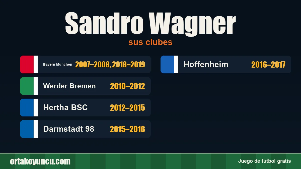 Sandro Wagner: clubes y años