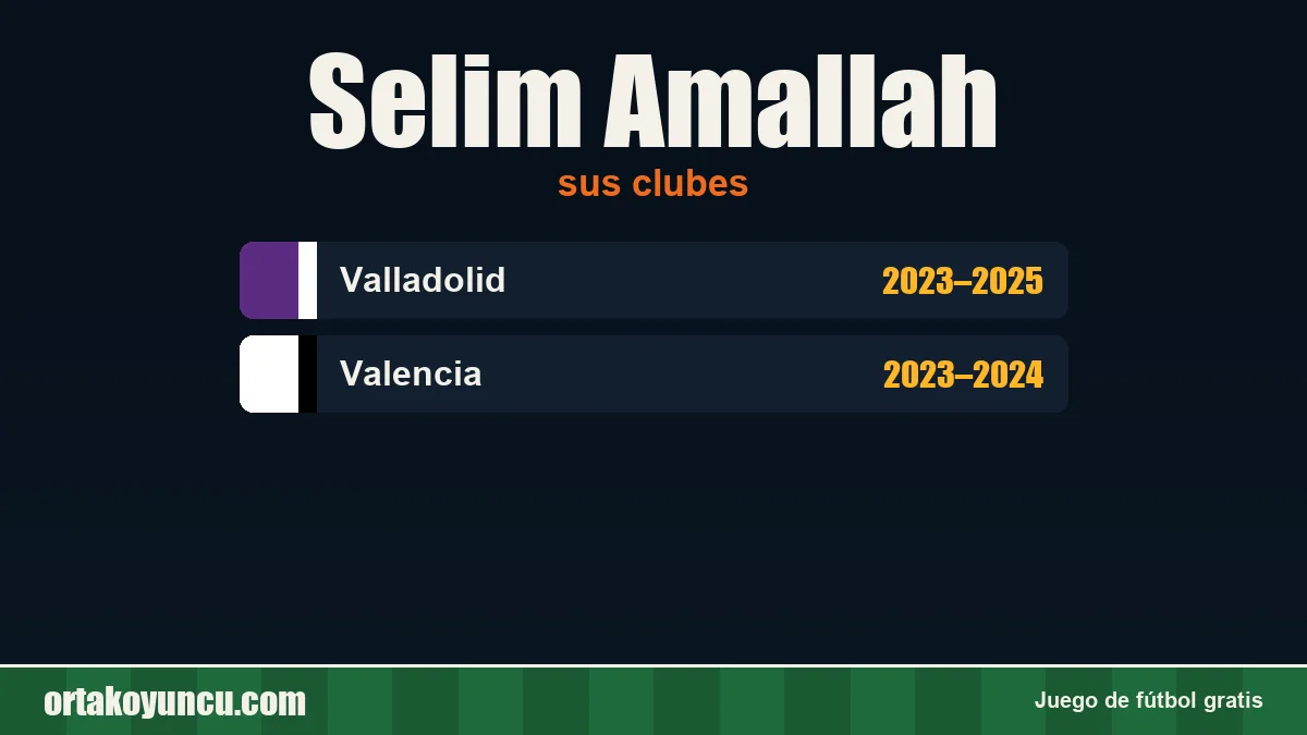 Selim Amallah: clubes y años