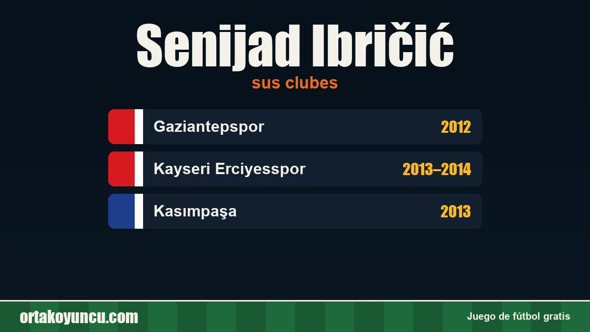 Senijad Ibričić: clubes y años