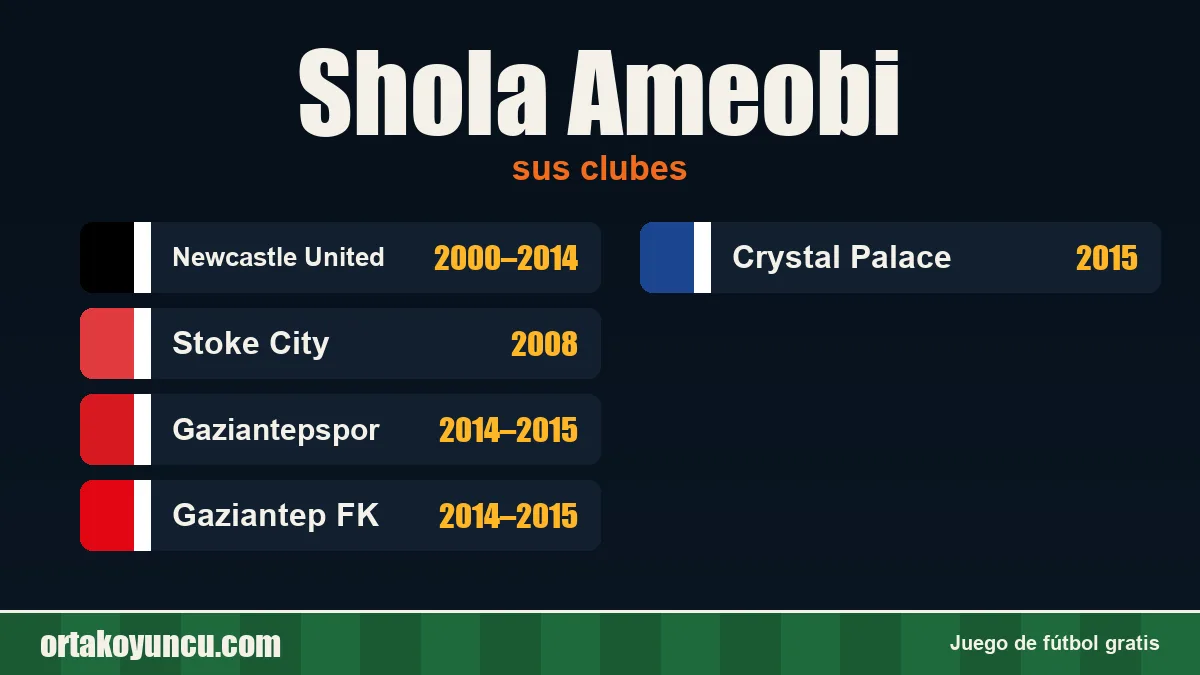 Shola Ameobi: clubes y años