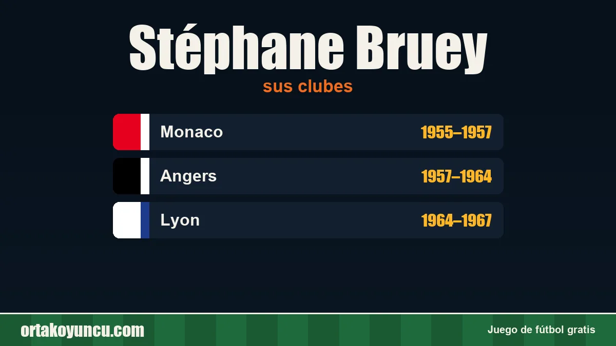 Stéphane Bruey: clubes y años