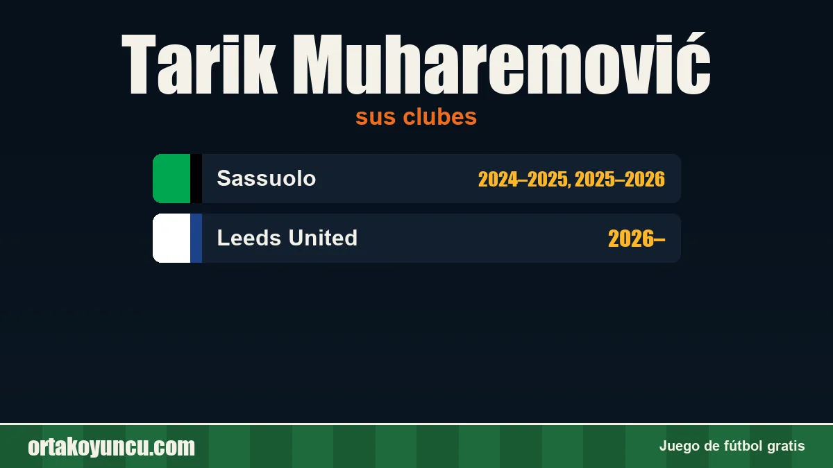 Tarik Muharemović: clubes y años