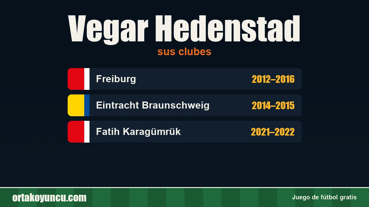Vegar Hedenstad: clubes y años