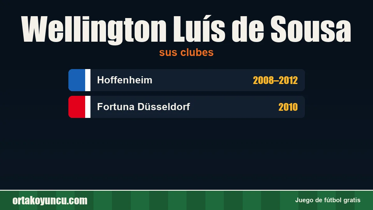 Wellington Luís de Sousa: clubes y años