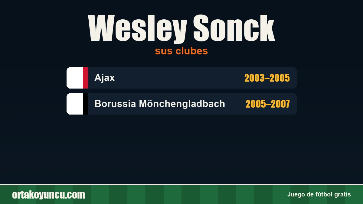 Wesley Sonck: clubes y años
