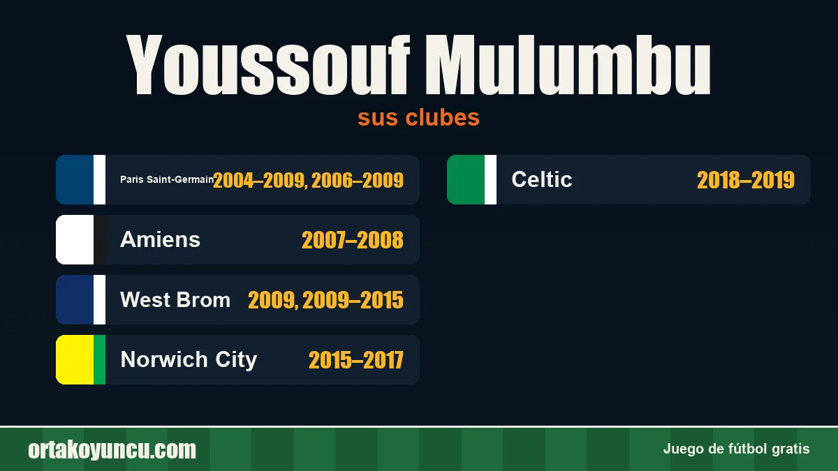 Youssouf Mulumbu: clubes y años
