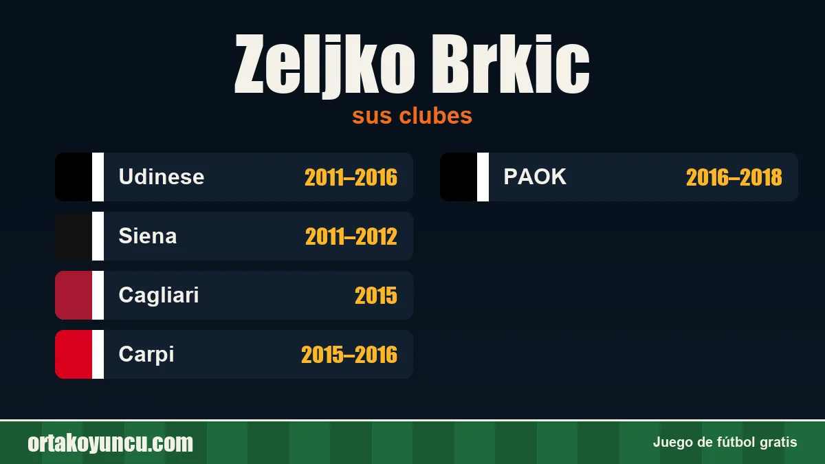 Zeljko Brkic: clubes y años