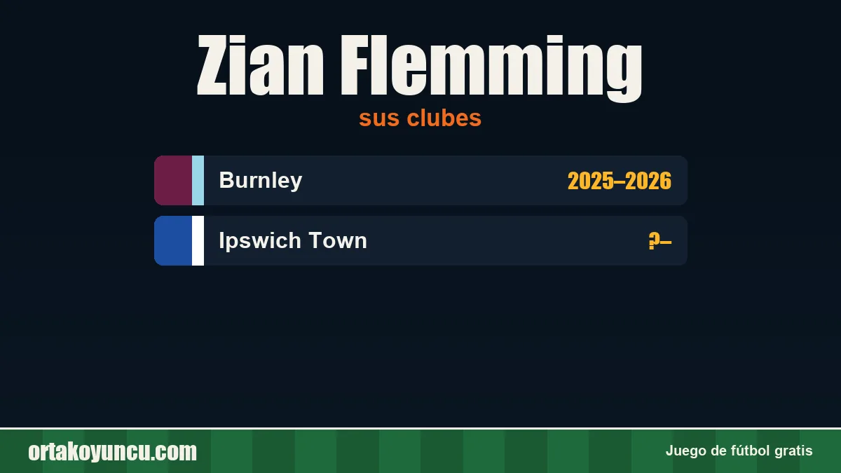 Zian Flemming: clubes y años