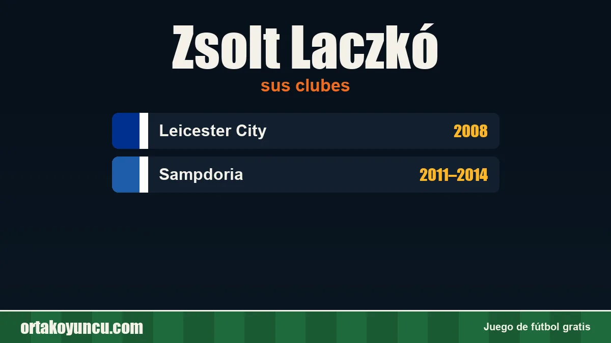 Zsolt Laczkó: clubes y años