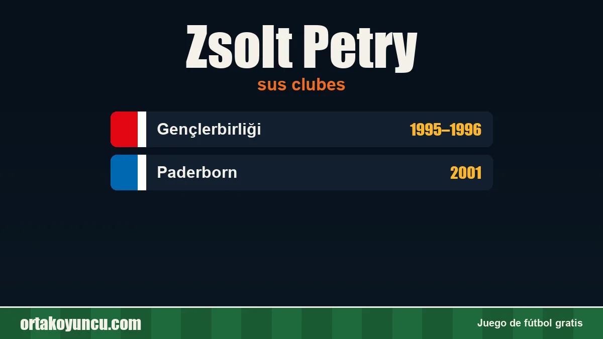 Zsolt Petry: clubes y años