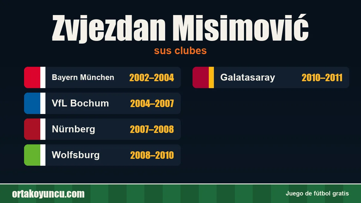 Zvjezdan Misimović: clubes y años