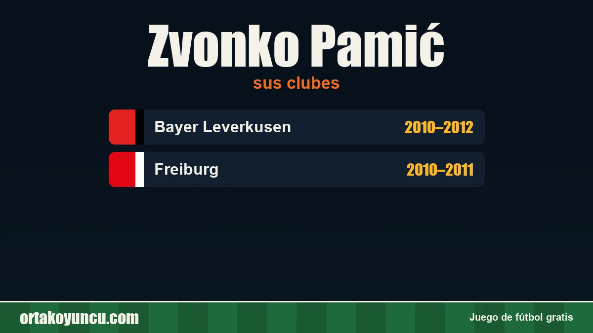Zvonko Pamić: clubes y años