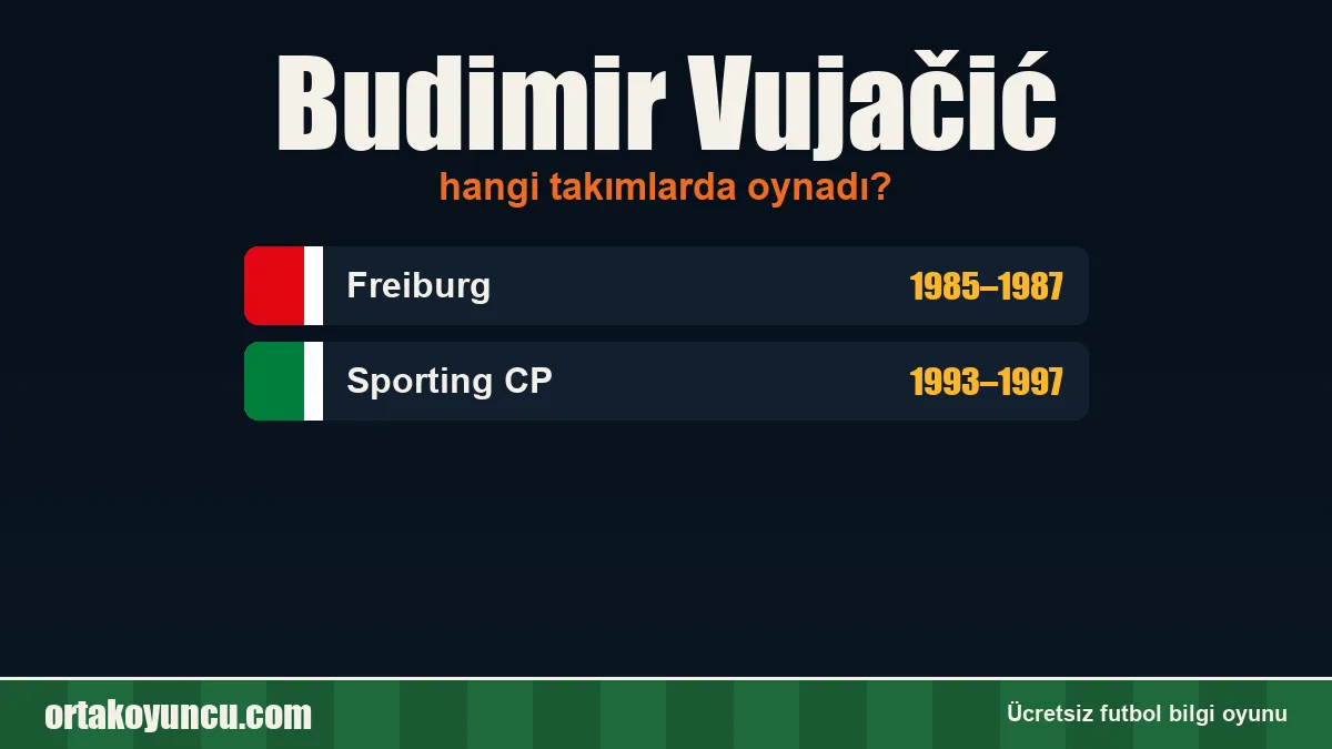 Budimir Vujačić hangi takımlarda oynadı?