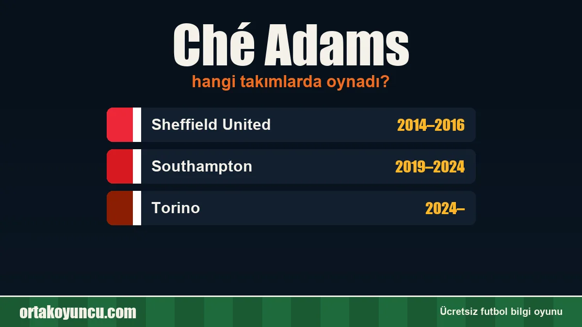 Ché Adams hangi takımlarda oynadı?