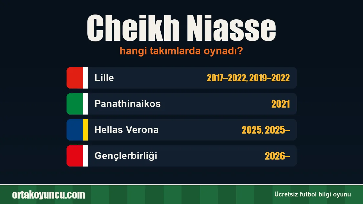 Cheikh Niasse hangi takımlarda oynadı?