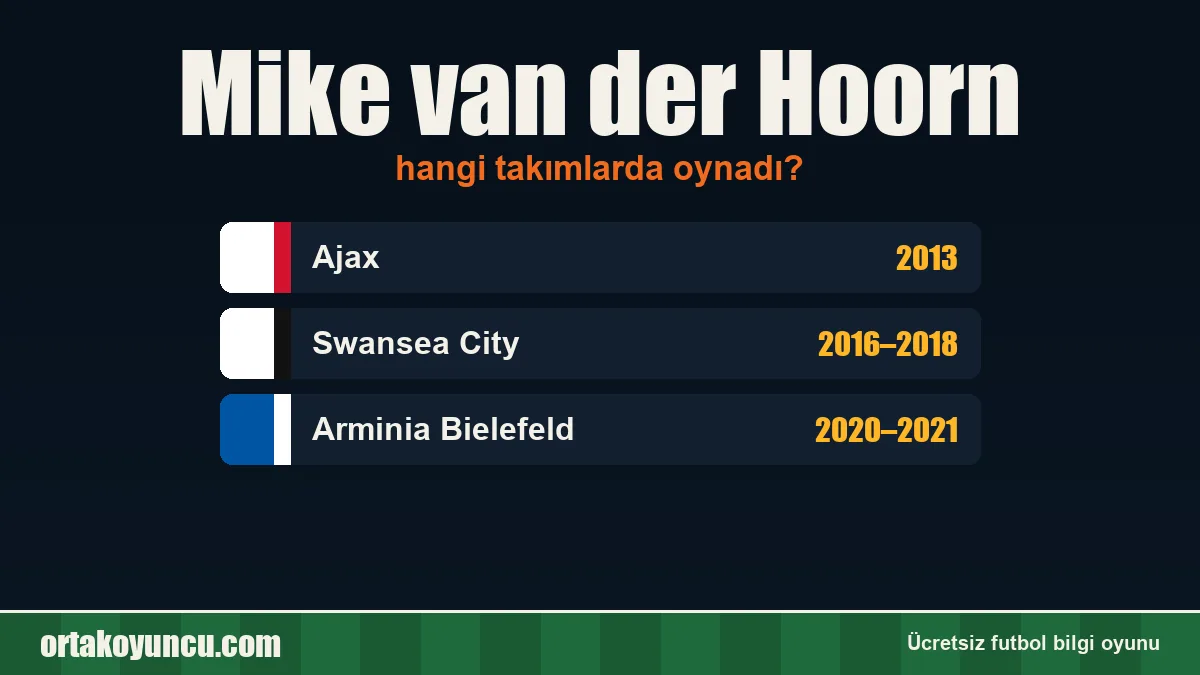 Mike van der Hoorn hangi takımlarda oynadı?