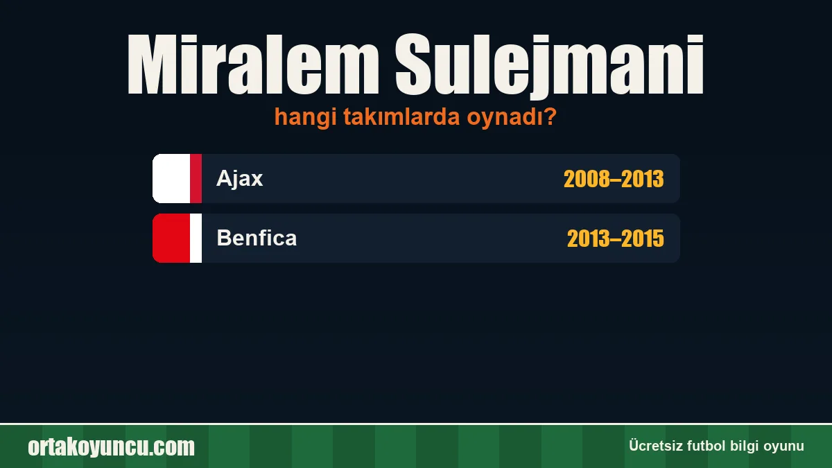 Miralem Sulejmani hangi takımlarda oynadı?