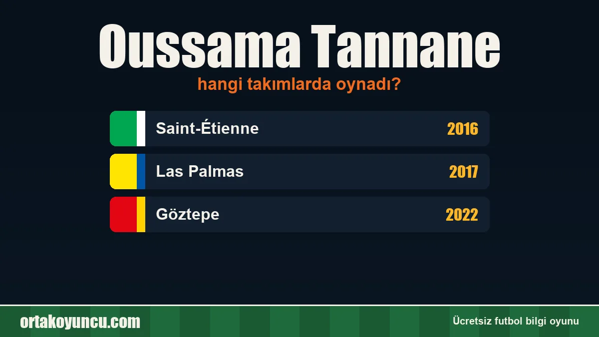 Oussama Tannane hangi takımlarda oynadı?