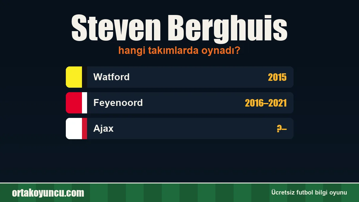 Steven Berghuis hangi takımlarda oynadı?